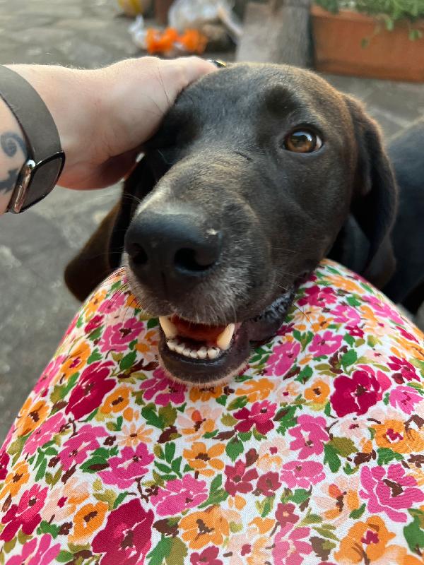 "Il piccolo Olly cerca un grande amore" Foto 3